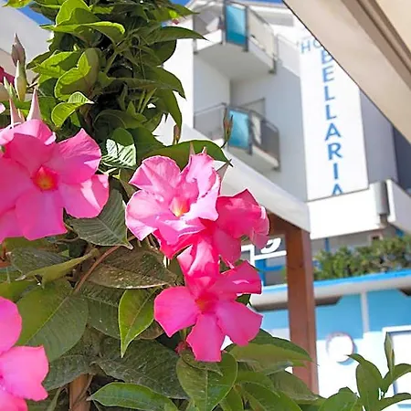 Hotel Bellaria Bellaria-Igea Marina
