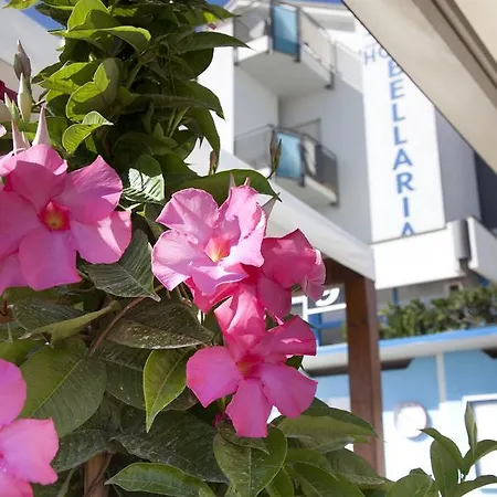 Hotel Bellaria 3* ベラーリア・イジェア・マリーナ